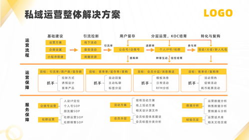 软件运营服务公司产品介绍ppt模板