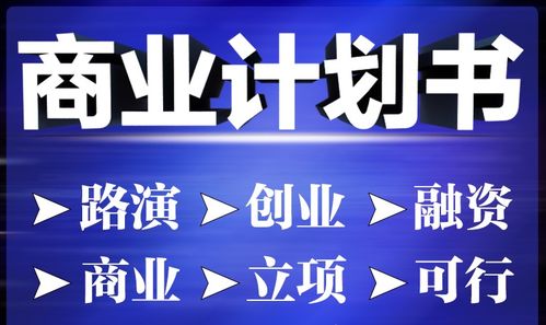 泸州代写项目申请报告订做